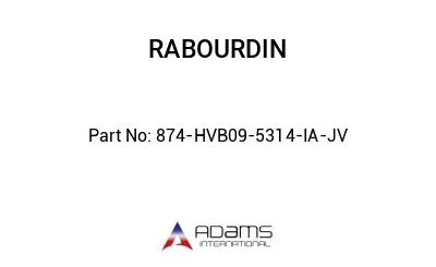 874-HVB09-5314-IA-JV