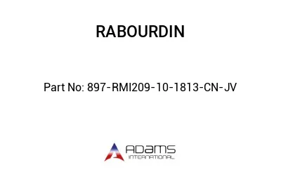 897-RMI209-10-1813-CN-JV