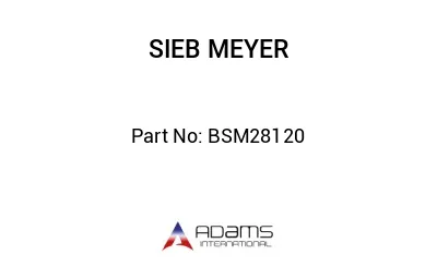 BSM28120