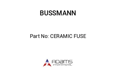 CERAMIC FUSE