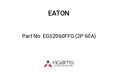 EGS2060FFG (2P 60A)