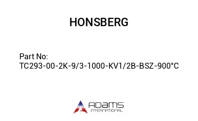 TC293-00-2K-9/3-1000-KV1/2B-BSZ-900°C