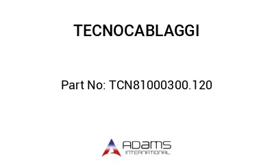 TCN81000300.120