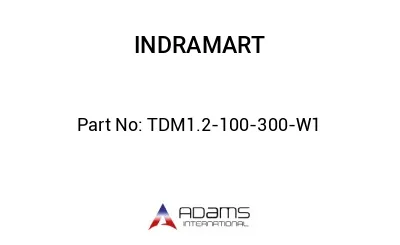 TDM1.2-100-300-W1