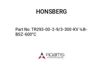 TR293-00-2-9/3-300-KV ½B-BSZ-600°C